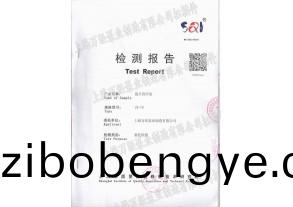 鏇片(pian)真(zhen)空泵檢(jian)測(cè)報(bào)告(gao)