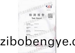 水環(huán)式真(zhen)空泵檢(jian)測(cè)(ce)報(bào)(bao)告(gao)