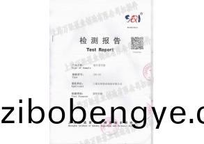 直聯(lián)鏇(xuan)片(pian)式真空泵檢(jian)測(cè)報(bào)告(gao)